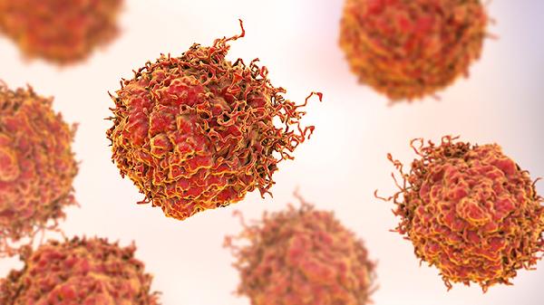 肿瘤患者能用惠血生胶囊改善贫血吗?