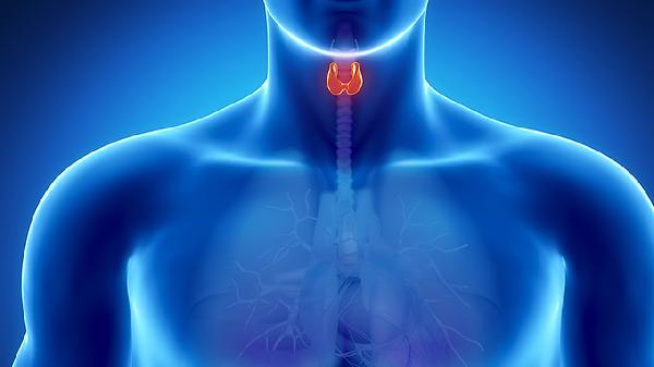 金嗓子喉片不良反应有哪些