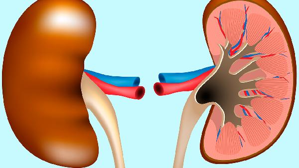 肾衰萌芽藏在这3个细节里！尿酸高的人速看，避免拖成尿毒症
