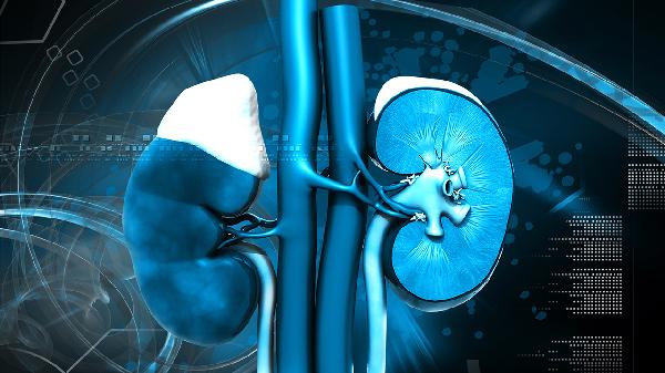 依西美坦片吃了对肾有损害吗?