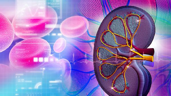 患者吃参茸强肾片的主要作用是什么