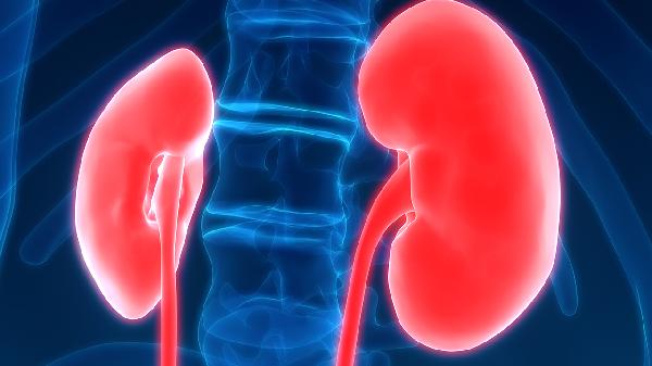 肾脏最爱的7种吃法！每天坚持，肾龄悄悄逆生长