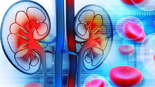 益肾十七味丸的功效与作用是什么