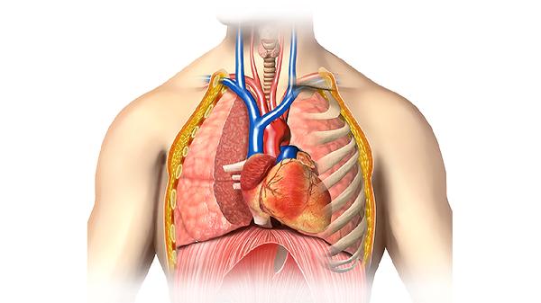 五积丸有什么功效