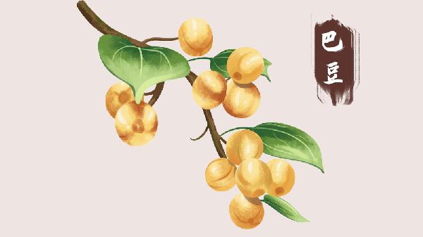 肥儿丸可以和巴豆霜一起用吗