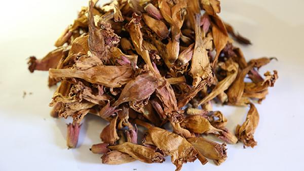 鳖甲煎丸成份有凌霄花吗