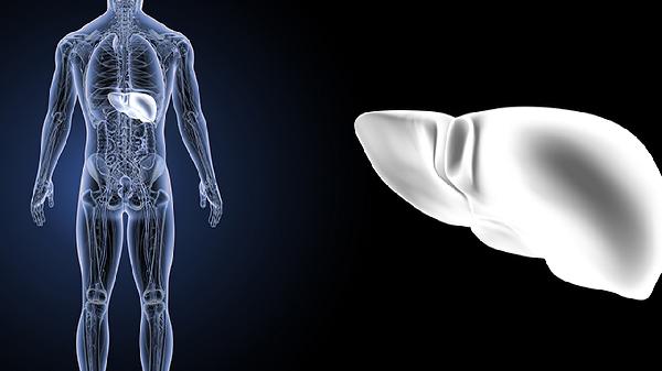 清肝二十七味丸的功效主要是什么