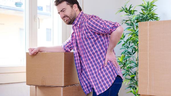 壮腰健肾丸的主要成分是什么呢?