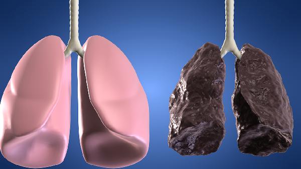 吃养阴清肺丸的同时能吃补肾的药吗