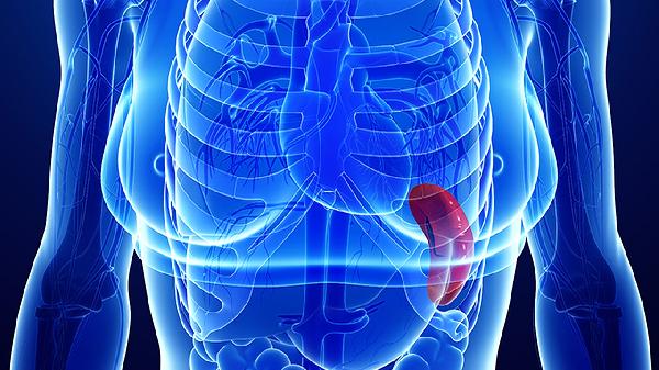 脾大要避免吃辛辣食物吗？