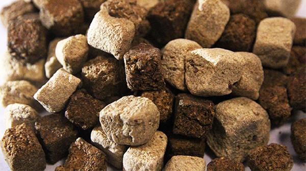 神曲胃痛胶囊有什么注意事项