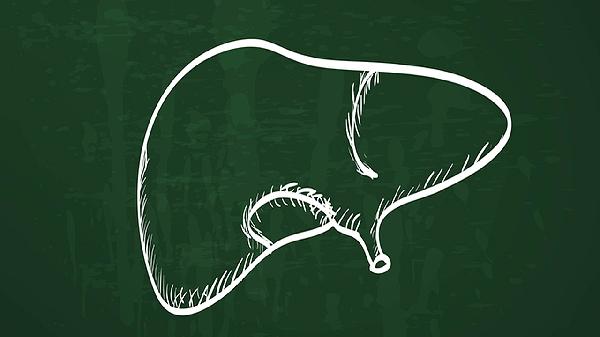 利肝康片的禁忌是什么