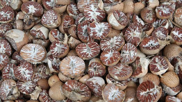 槟榔七味丸的功效与作用