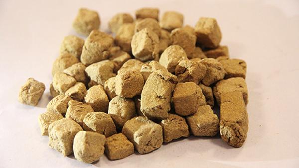 神曲胃痛胶囊的功效有哪些