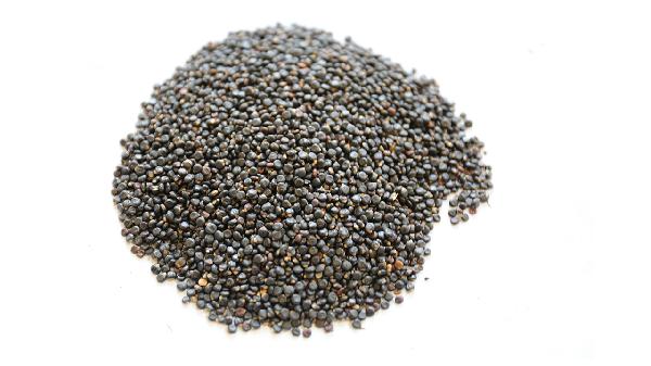 复方玄驹益气片是中药还是西药