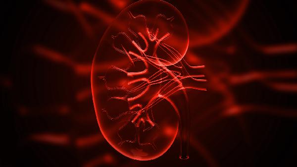 金匮肾气丸（水蜜丸）的作用是什么