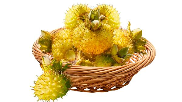 刺梨主要适用于什么病