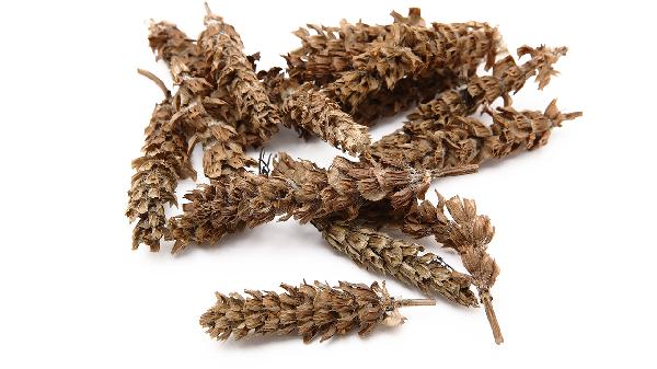 夏枯草的功效与作用