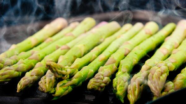 羊齿天冬使用时需要注意什么