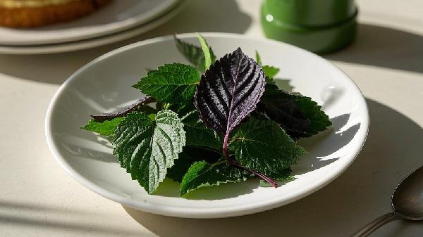 紫苏的功效有哪些