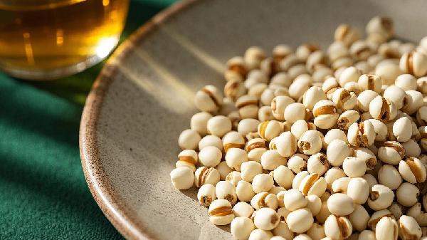 薏苡仁作用与功效