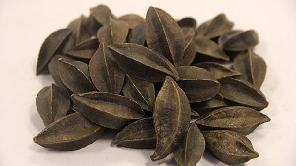 使君子的作用都有哪些