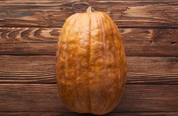 余甘子的禁忌是什么