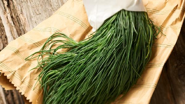 猪毛菜的作用都有哪些