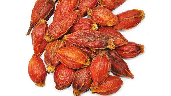 栀子作用有哪些