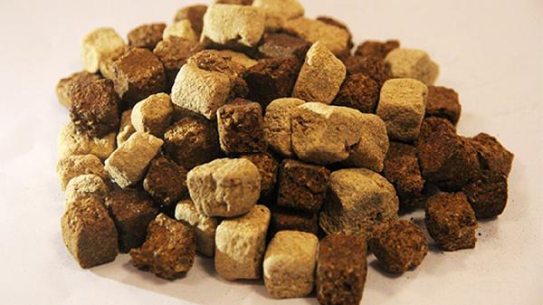 神曲胃痛胶囊可以治疗什么病