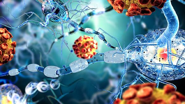 关于运动神经元受损的治疗