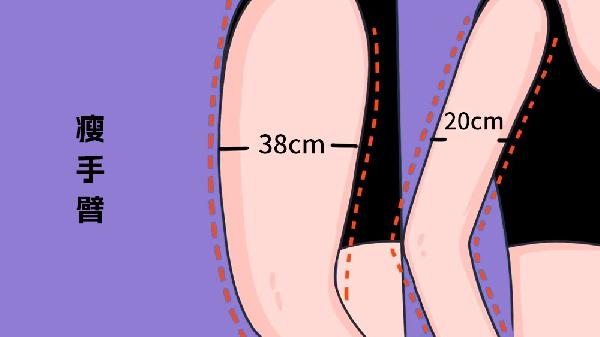 一周快速瘦手臂的方法