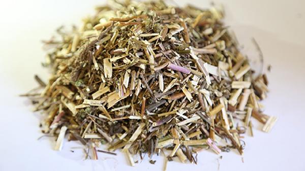 荆芥使用时需要注意什么