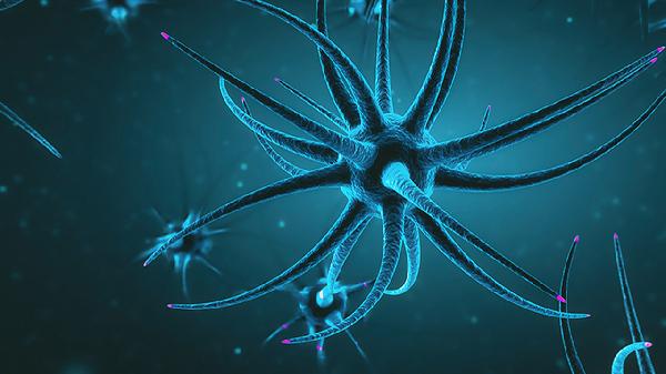 胃肠道神经官能症吃什么药