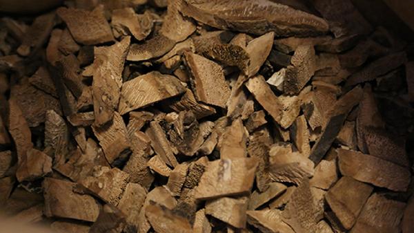 吃中药能吃茼蒿吗