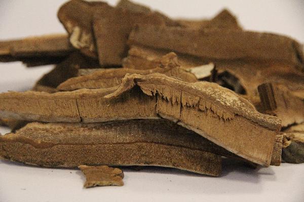 中药可以治痔疮吗