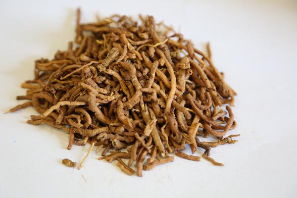 hpv中药能治疗好吗