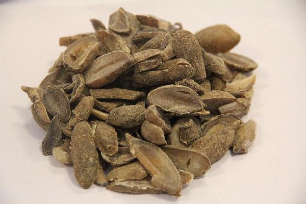 什么是抗生素药物