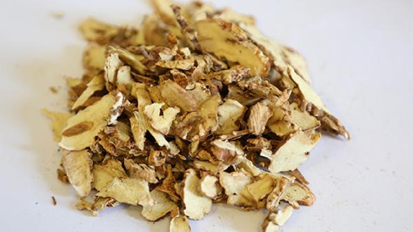 知母的禁忌是什么