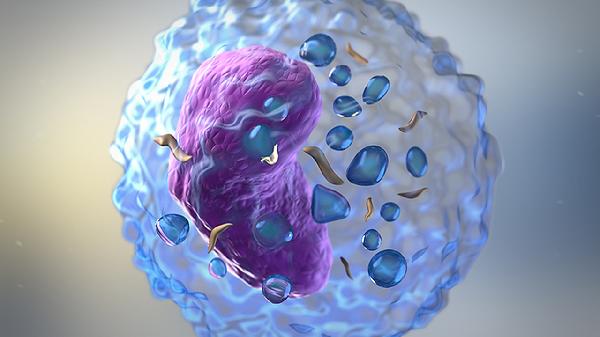 抗病毒感冒药都有哪些