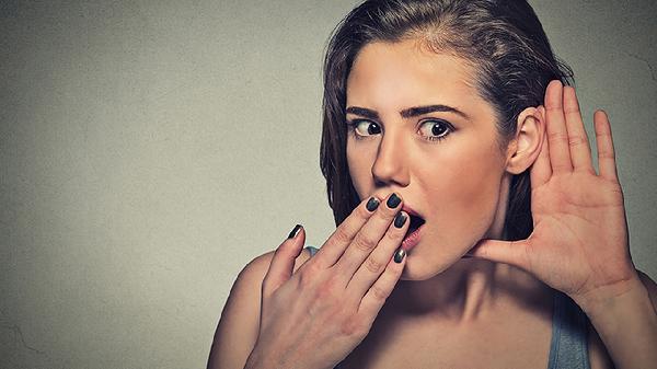 羊耳菊的功效是什么