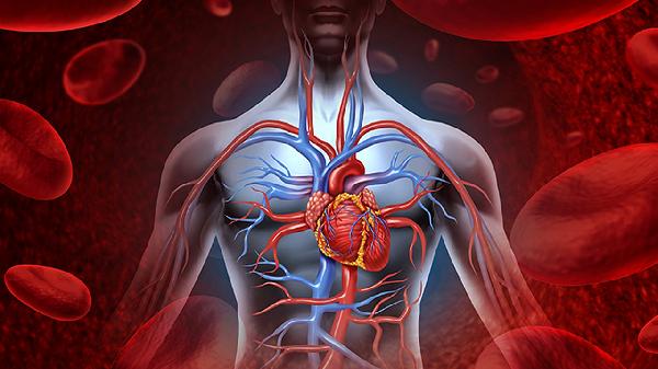 哪十种药品可以有效保护心脏