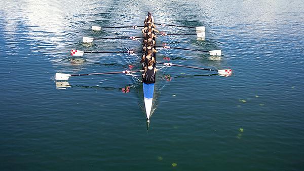 壮腰健身丸可以治疗什么病