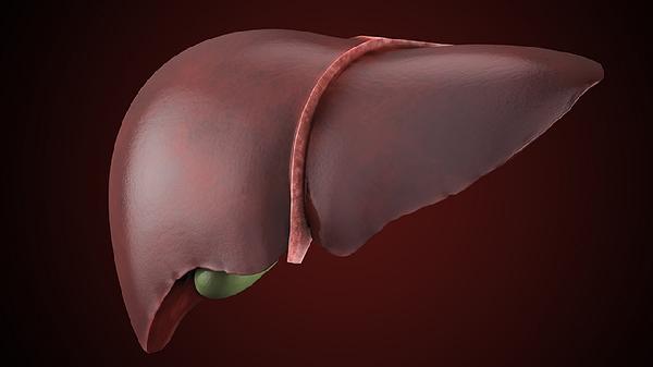 利肝康片有什么注意事项