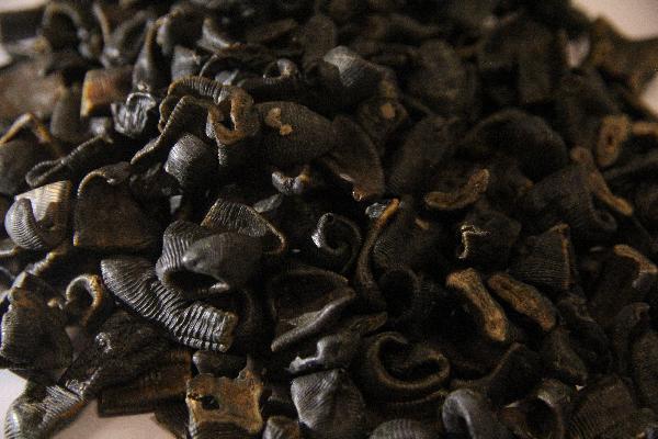 中药可以治疗腰间盘突出吗