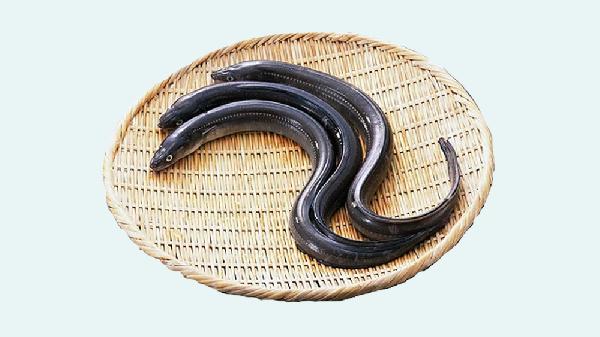 黄鳝藤适应人群有哪些