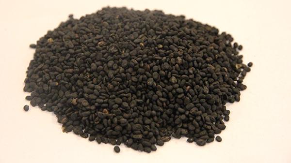 补骨脂的功效与作用