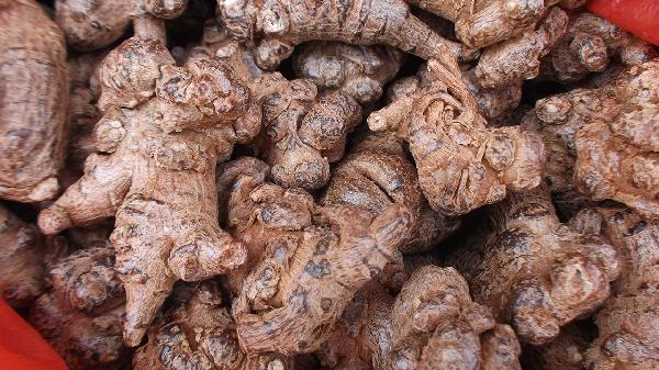 三七适用人群有哪些