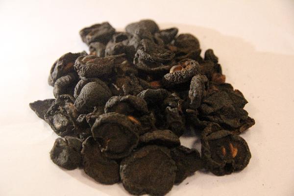 脂必妥片是中药还是西药