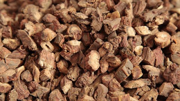 丹参的作用是什么